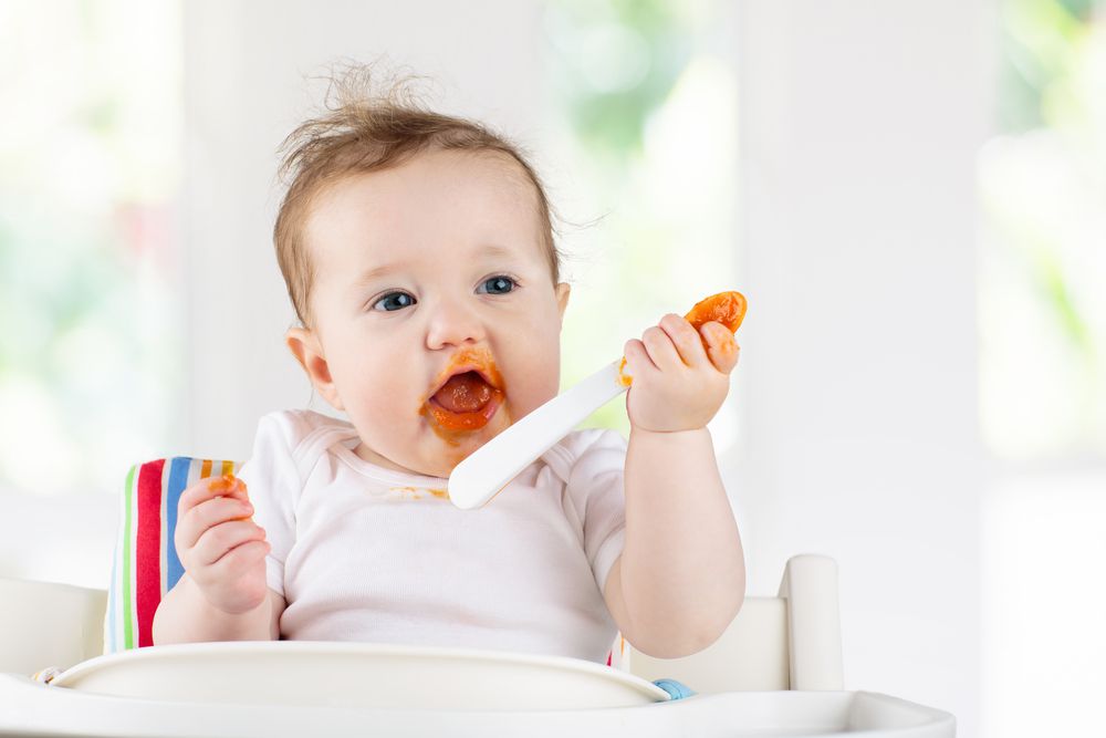Baby eating vegetables sitting in white high chair. Solid food for infant. Little girl eating healthy vegetable lunch of steam cooked carrot.